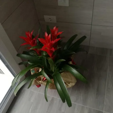 Alessietto Apartamento Verona