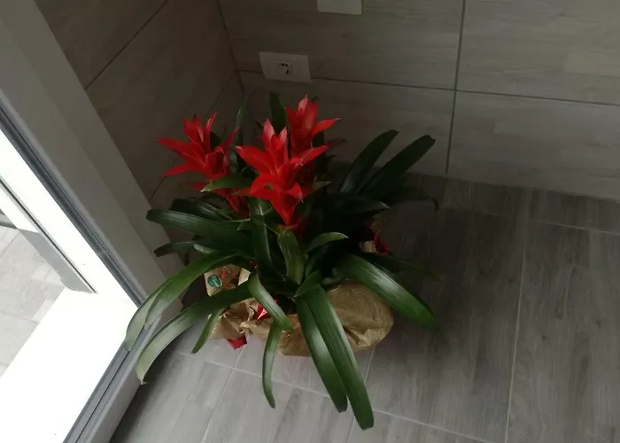 Alessietto Apartment Verona